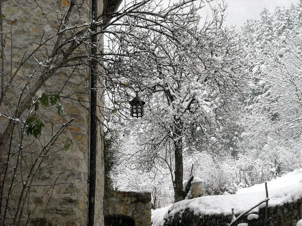 טנו La Piazzetta Di Canale B&B מראה חיצוני תמונה
