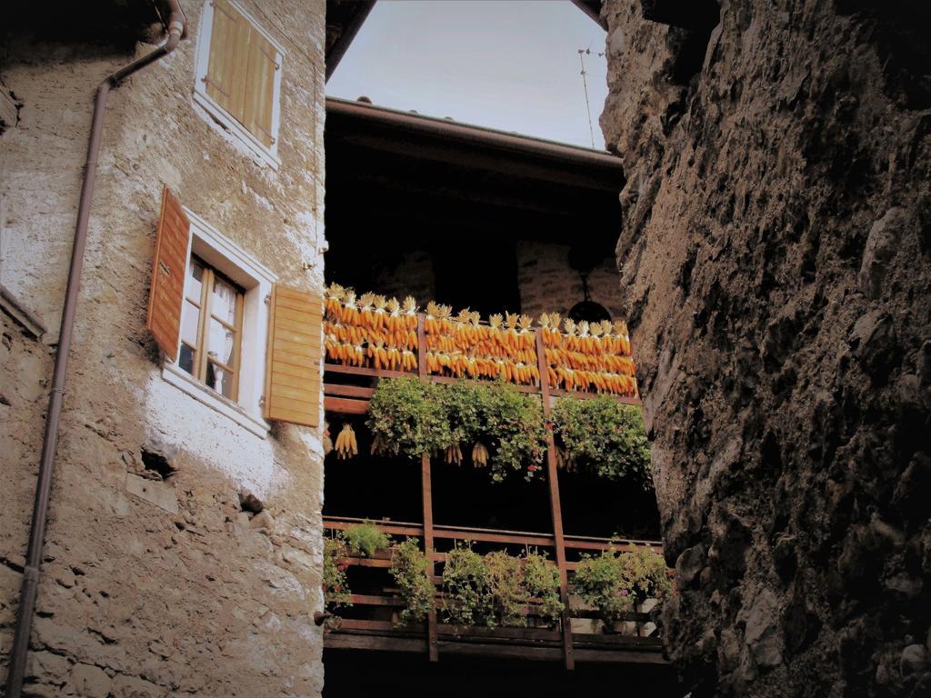 טנו La Piazzetta Di Canale B&B מראה חיצוני תמונה